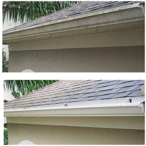 House Washing & Gutter Cleaning in Lake Nona, FL
